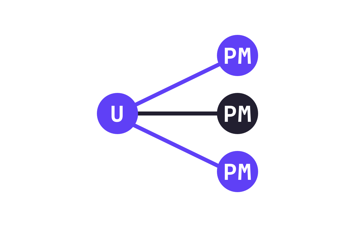 Visual representation showing one user on the left and many payment methods on the right - which only one connection between a user and a payment method highlighted